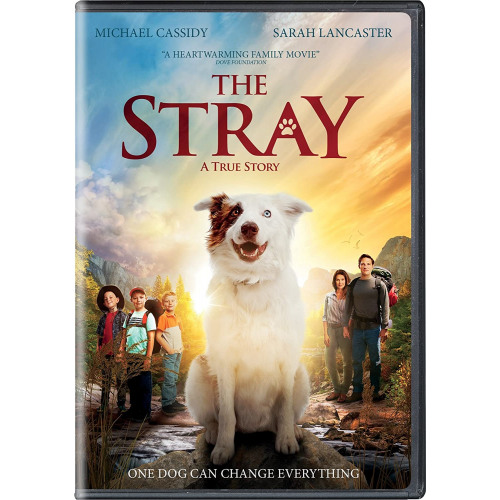 Stray, The (DVD)