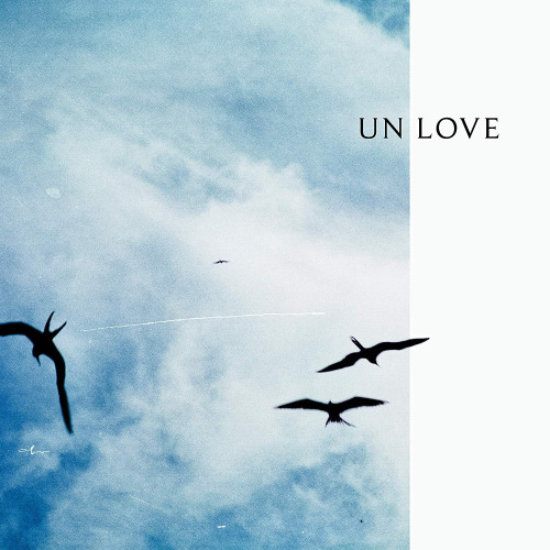 UN LOVE(LP)