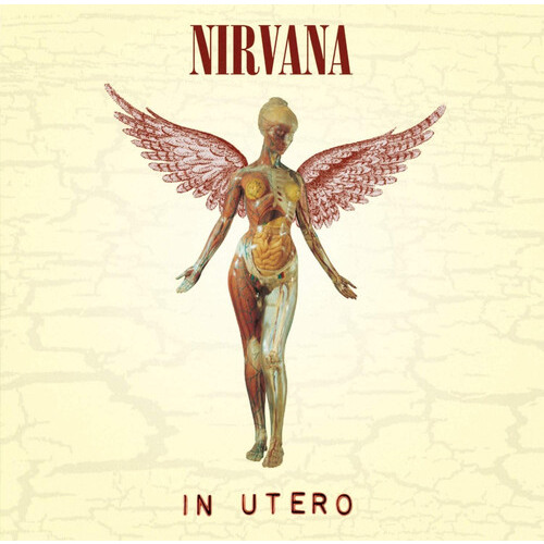 ゼニス新作モデル In Utero | Sunrise Records (2428391 Ontario Inc) 洋楽