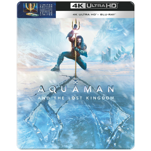 AQUAMAN AND THE LOST KINGDOM STLBK 4K BIL